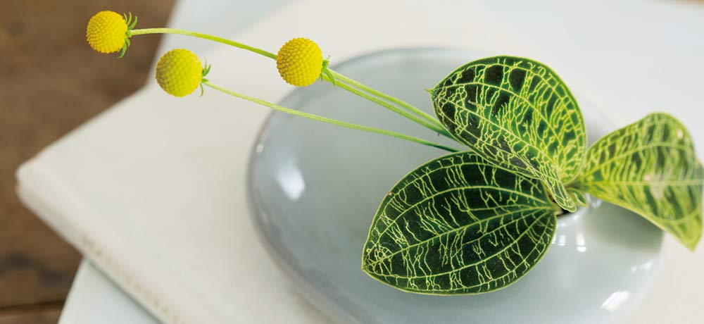 Saccoさま専用 Amazon.co.jp: KINTO (キントー) 花器 SACCO ベース 磁器 01